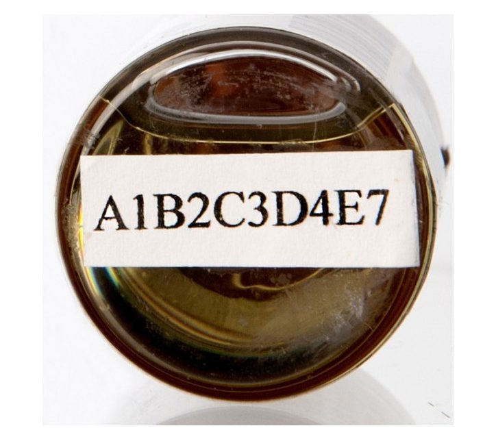 p1RtjA95lEvrtvN6SiZA-1